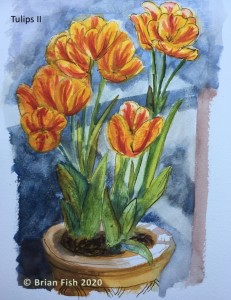 Tulips II